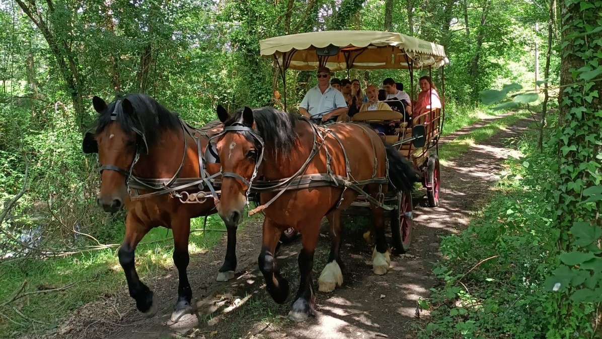 Terre et trésors de Touraine sortie calèche 2b