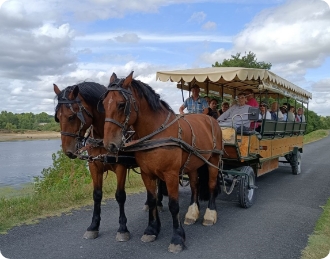 eTerre et trésors de Touraine sortie calèche 3b