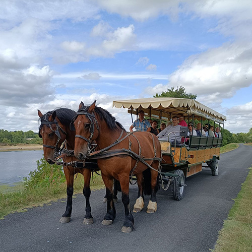 Touraine balade en calèche