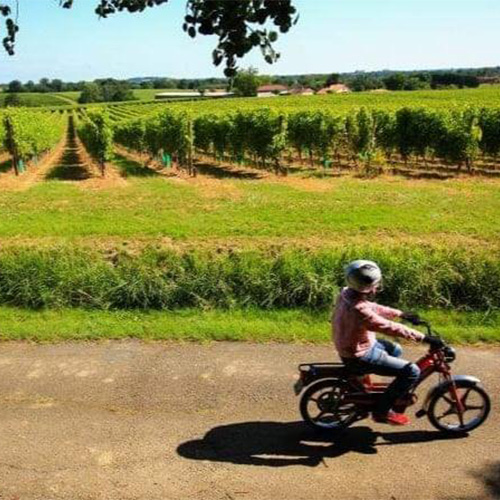 CHASSE AU TRÉSOR EN MOBILETTE