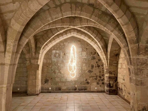 Chateau de Brou